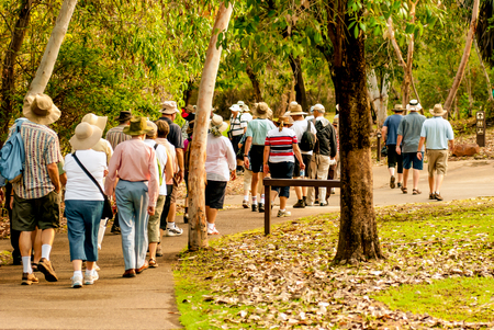 group of old and healthy people walking in the nature