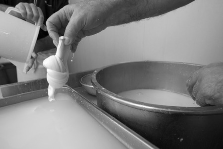 Preparation of mozzarelle in a dairy, black and white