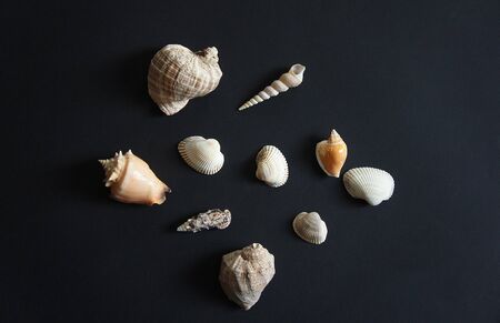 Shells