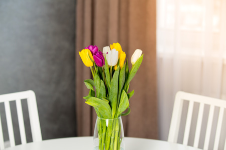 Multicolored tulips in vase in apartment. Theme of spring arrival.の写真素材