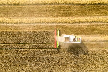 Harvesting. Combine harvester in wheat field. View from above. Agricultural background.