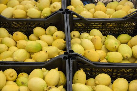 Tasty fresh lemons in plastic boxesの写真素材