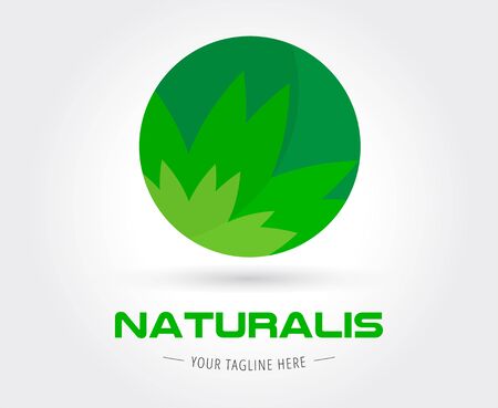 Abstract vector template for branding and flat designのイラスト素材
