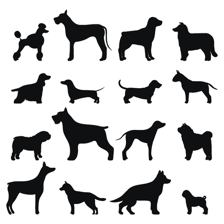 Dog breed vector black silhouette.のイラスト素材