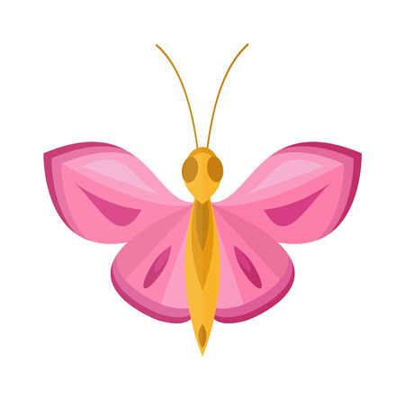 Flat butterfly vector.のイラスト素材