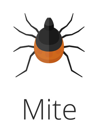 Mite skin parasite vector illustration.のイラスト素材