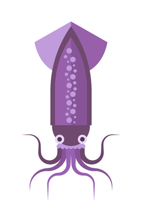 Vector Squid cartoon marine illustration. Squid, calamari. Decorative squid silhouettes isolated on white background. Vector Squid cartoon illustration. Vector Squid water ocean design.のイラスト素材