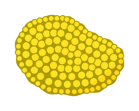 Mushrooms Illustration on white background. Mushrooms vector illustrations. Mushrooms symbol isolated. Mushrooms organic nature. Mushrooms isolatedのイラスト素材