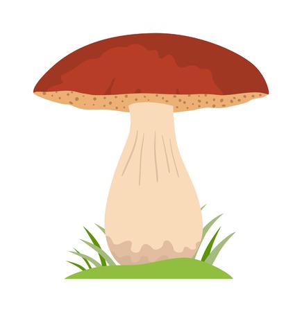 Mushrooms Illustration on white background. Mushrooms vector illustrations. Mushrooms symbol isolated. Mushrooms organic nature. Mushrooms isolatedのイラスト素材