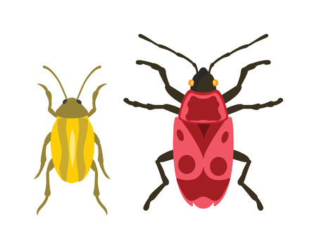 Beetles flat insect bug in cartoon style vector. Simple beetle insect wildlife. Cartoon bugs beetle color nature insect. Vector beetle cartoon style bug.のイラスト素材