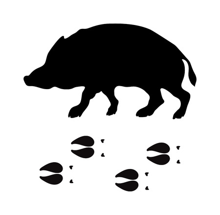Wild boar animal black silhouette and wild animal predator symbol. Predator silhouette. Wild life black animal silhouette. Black silhouette wild animal zoo vector.のイラスト素材