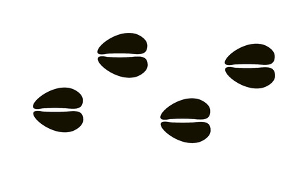 Animal black foots and wildlife animal mammal steps, pet traces. Animal foots silhouette steps Animal foot prints and tracks isolated steps traces on white for wildlife concept design vector.のイラスト素材