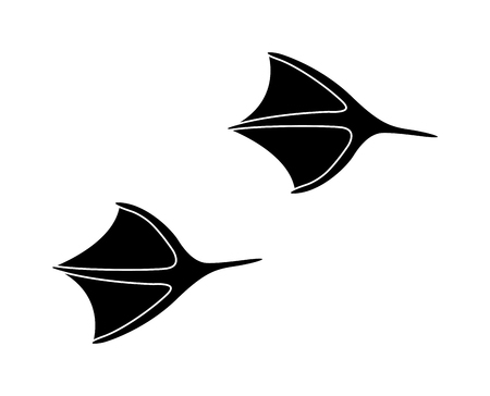 Animal black foots and wildlife animal mammal steps, pet traces. Animal foots silhouette steps Animal foot prints and tracks isolated steps traces on white for wildlife concept design vector.のイラスト素材