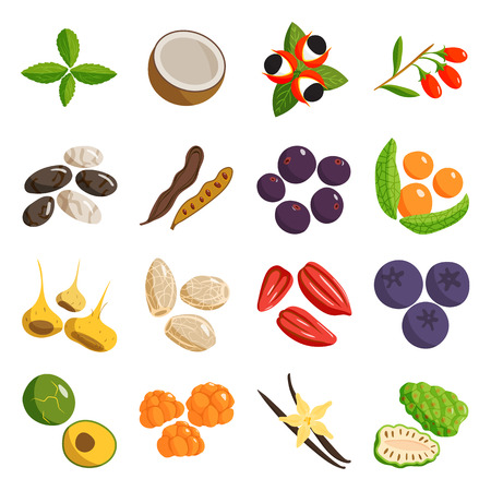 Vegetarian food healthy and vegetable vegetarian green food. Fresh vegetarian healthy organic food. Traditional gourmet nutrition. Vegetarian food healthy vegetable restaurant dishes. cartoon vector.のイラスト素材