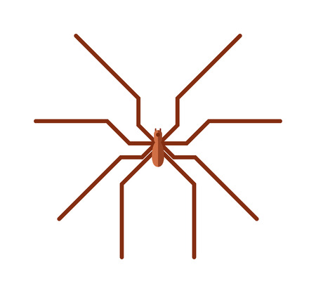 Spider silhouette arachnid fear graphic and spider flat silhouette scary, animal poisonous design. Spider silhouette nature phobia. Spider insect danger silhouette vector icon.のイラスト素材