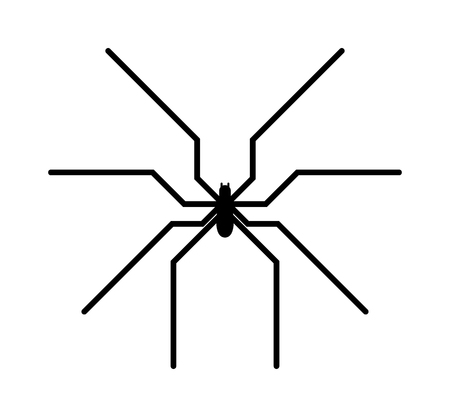 Spider black silhouette arachnid fear graphic and spider black silhouette scary, animal poisonous design. Spider black silhouette nature phobia. Black spider insect danger silhouette vector icon.のイラスト素材
