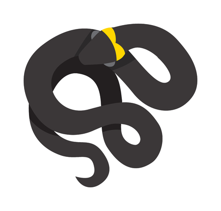 Black mamba uncoiled reptile ready to strike snake dangerous venomous animal vector. Black Mamba snake dangerous venomous animal and wild predator nature black mamba snake. Nature black mamba snake.のイラスト素材