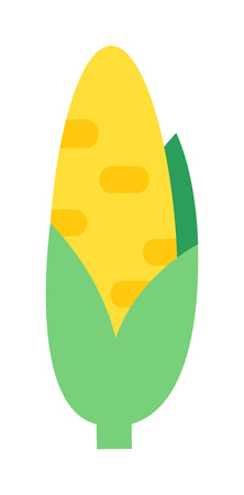 Corn cobs vector illustration. Healthy grain maize vegetable cob corn. Yellow agriculture farm ingredient corn. Nature harvest golden popcorn kernels sweet vegetarian sweet corn seed.のイラスト素材