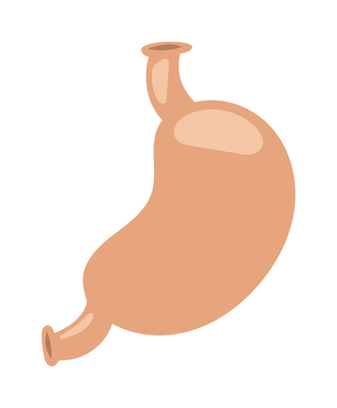 Stomach icon isolated on white background vector art. Internal system hospital physiology stomach icon human organ. Medicine health care concept stomach icon graphic healthy biology anatomy sign.のイラスト素材