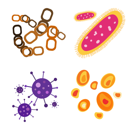 Bacteria virus vector icon. Biology microorganisms, microbes germs and bacilli. Vector biology icons, medical virus icons, bugs isolated. Virus science microbe vector icon. Virus bacteria iconのイラスト素材