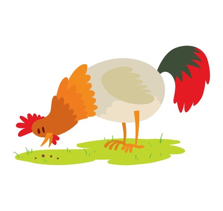Cute cartoon rooster illustration. Cartoon rooster isolated on background. New Year 2017 symbol rooster, cock farm bird. cock farm animal. Cute rooster vector illustration. Rooster farm animal vectorのイラスト素材
