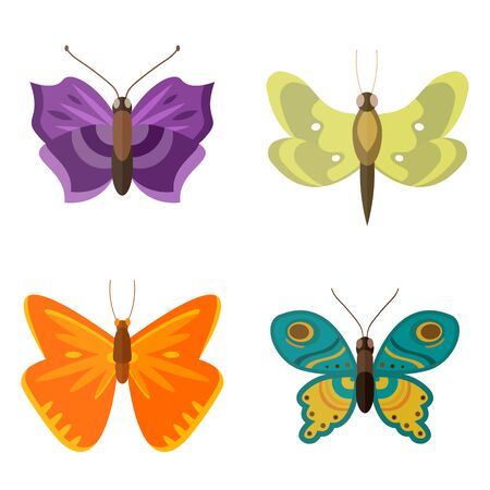 Colorful butterflies vector.のイラスト素材