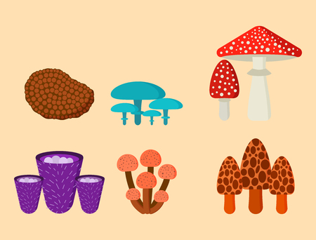 Mushrooms for cook food and poisonous natureのイラスト素材