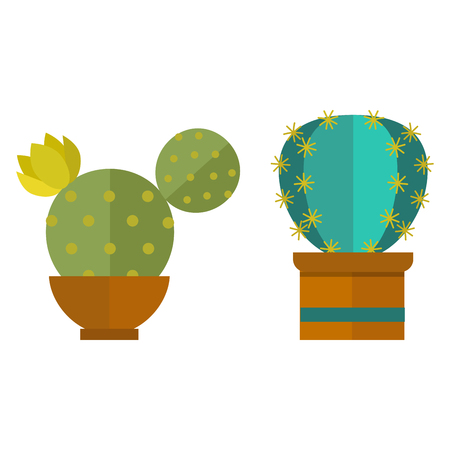 Cactus nature desert flower green mexican succulent tropical plant cacti floral vector illustration.のイラスト素材