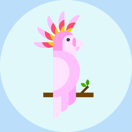 Cartoon tropical parrot wild animal bird vector illustration and wildlife cute feather zoo color nature.のイラスト素材