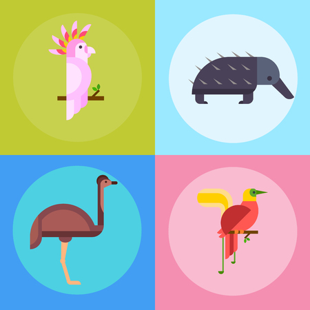 Australia wild animals cartoon popular nature characters flat style and Australian mammal.のイラスト素材