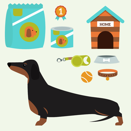 Dachshund dog playing vector illustration elements set flat style puppy domestic pet symbol. Cartoon doggy adorable looking breed canine presentation accessory.のイラスト素材