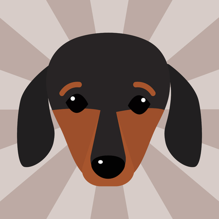 Little dachshund puppy head purebred mammal sweet dog young pedigreed animal breed vector illustrationのイラスト素材