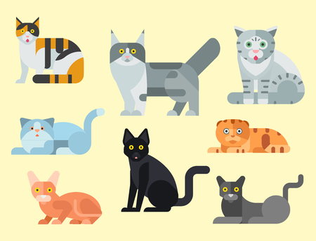 Cats vector illustration cute animal funny decorative kitty characters feline domestic kitten trendy pet drawnのイラスト素材