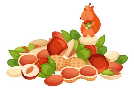 Character squirrel stock nut, hazelnut, almond, tonsil isolated on white, flat vector illustration. Banner design nature, wildlife, animal, rodent, stock. Small individual rest on food.のイラスト素材