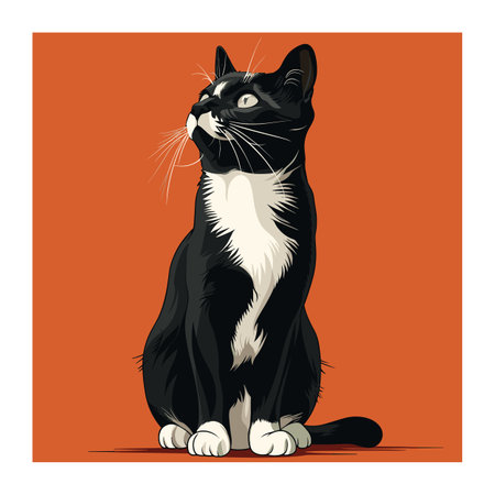 Black white cat sitting against orange background. Tuxedo cat artwork detailed fur whiskers, gazing upwards. Pet illustration ideal animal lovers interior decorのイラスト素材