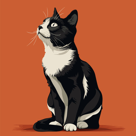 Black white cat sitting looking up attentively against orange background. Detailed feline illustration capturing whiskers fur pattern. Pet portrait showcases expressive cat eyes body postureのイラスト素材
