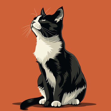 Black white cat sitting, looking upwards, orange background. Tuxedo cat whiskers, erect ears, detailed fur texture, illustration. Domestic animal, prideful pose, feline elegance captured, stylizedのイラスト素材