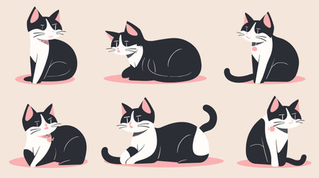 Collection black white tuxedo cats exhibiting various playful cute expressions. Simplified cartoon style feline illustrations set against plain background, cat pose conveys different emotion actionのイラスト素材