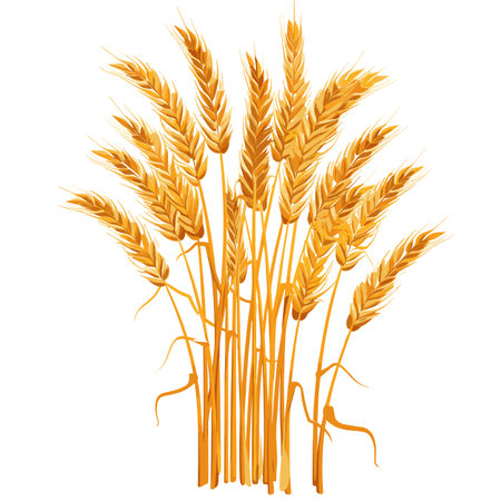 Golden yellow wheat stalks standing tall, heads full ripe, set against isolated white background. Agricultural produce, particularly wheat, realistic graphic style farming harvesting themes. Wheatのイラスト素材