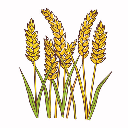 Golden wheat stems green leaves, isolated white background. Perfect agricultural projects, farmingthemed designs, organic product labels. Detailed illustration highlighting beauty wheat crops. Ripeのイラスト素材