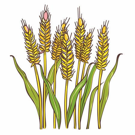 Golden wheat stalks cluster, isolated white background. Agricultural crop illustration, representing autumn harvest. Graphic depicts ripe wheat heads, long green leaves, stemsのイラスト素材