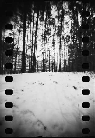Pinhol photo of the winter forest on filmの写真素材