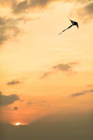 kite at sunsetの写真素材