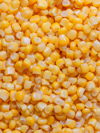 A lot of corn kernels close-upの写真素材