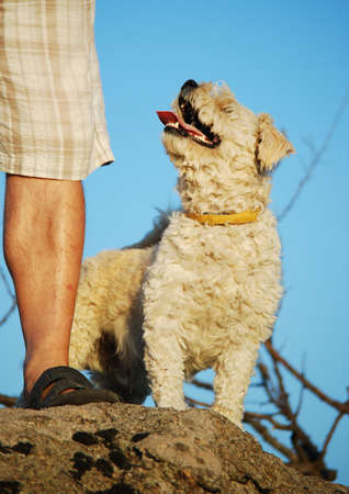 Happy dog at the feet of his beloved master