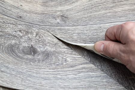 Roll of linoleum with a wood texture. Linoleum cutting. Floor coverings.の写真素材
