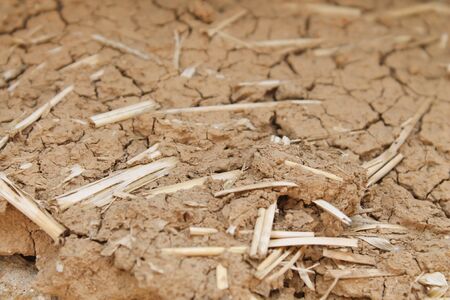 The texture of clay soil with the addition of straw.