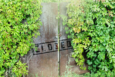 The old iron gate is locked in the thicket.の写真素材