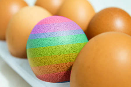 A multi-colored chicken egg among ordinary eggs in a tray.の写真素材