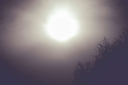 The sun shines through the black sky against the background of dark trees. Black metal cover. Dark...